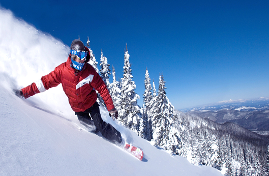 海洋之神·hy590(中国)最新官方网站