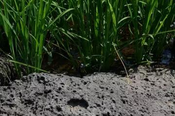 海洋之神·hy590(中国)最新官方网站