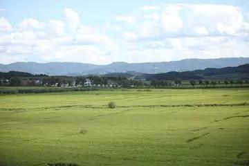 海洋之神·hy590(中国)最新官方网站