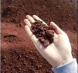 海洋之神·hy590(中国)最新官方网站