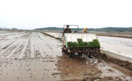 14 海洋之神农业水稻插秧现场_副本.png