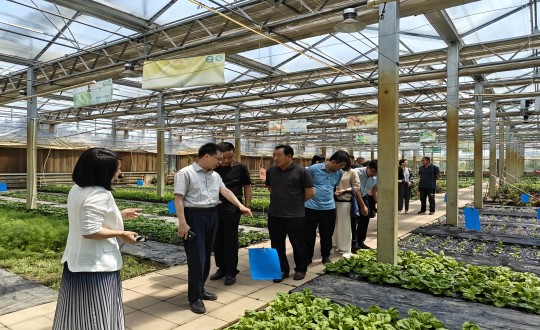 2024年6月27日，，，，，中国绿色食物生长中心相关向导莅临农业总公司考察调研_副本.jpg
